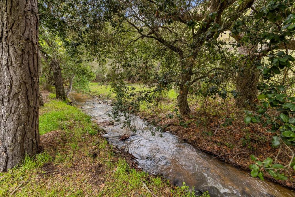 MLS #ML81998990 image #20