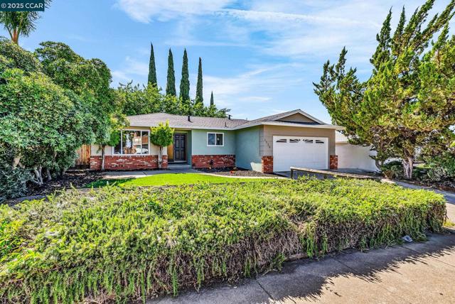 1330 Aster Dr, Antioch CA: https://media.crmls.org/mediaz/96e4ca3c-d2e0-4aeb-a07d-d65a79a90498.jpg