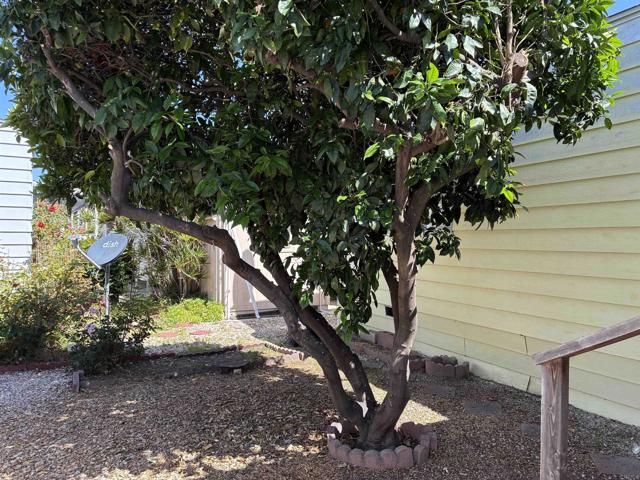 Detail Gallery Image 3 of 36 For 2130 Sunset Dr #99,  Vista,  CA 92081 - 2 Beds | 2 Baths