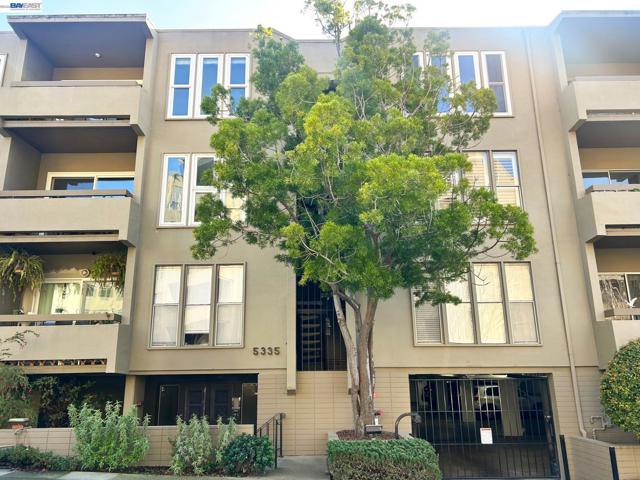 5335 Broadway Terrace, Oakland CA: https://media.crmls.org/mediaz/96fa53dd-21c0-44f7-a341-1813fd8aac96.jpg