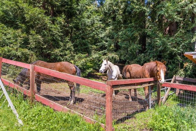 2900 Buzzard Lagoon Road, Corralitos CA: https://media.crmls.org/mediaz/9705e5e2-9555-4a8e-9b1c-0ac0448171e6.jpg