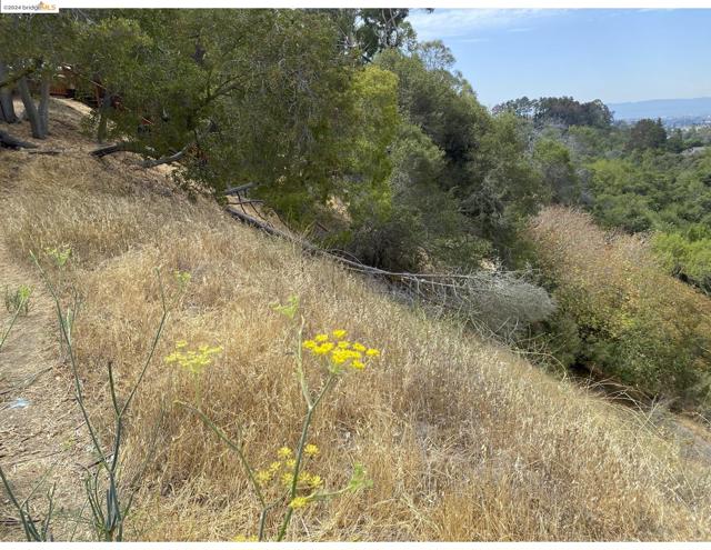 Image 1 of 11 For 4145 Oak Hill Rd