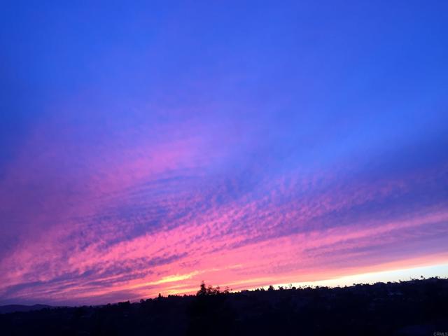 View!