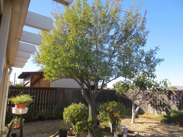 Detail Gallery Image 35 of 39 For 22929 via Santana, Nuevo,  CA 92567 - 4 Beds | 2 Baths