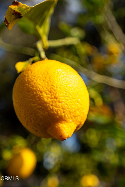 Detail Gallery Image 26 of 33 For 7092 Harmon Dr, Ventura,  CA 93003 - 3 Beds | 2 Baths