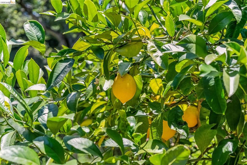 https://media.crmls.org/mediaz/97160027-e3ae-4361-b0e4-9bfc3b9f902f.jpg?preset=X-Large