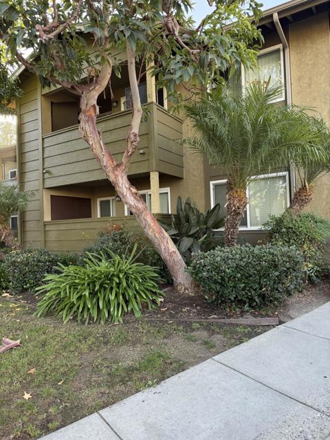 Detail Gallery Image 2 of 15 For 190 Avenida Descanso a,  Oceanside,  CA 92057 - 2 Beds | 1 Baths