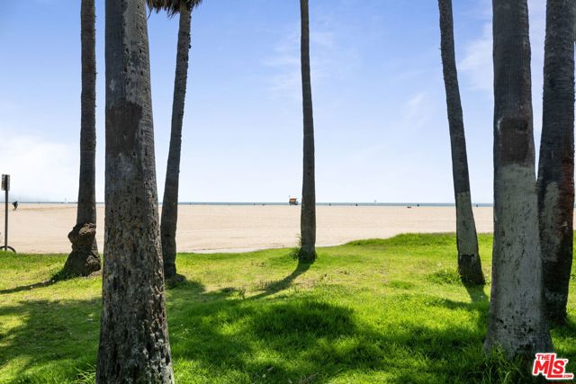 21 Park Avenue, Venice CA: https://media.crmls.org/mediaz/971a5c1b-debd-4f1a-9ca7-1759d26fca15.jpg