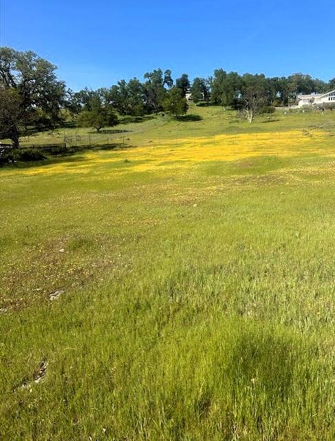 19630 Donkey Hill Road, Hidden Valley Lake CA: https://media.crmls.org/mediaz/971a9d26-ea09-46ea-bfb5-45114024f0d1.jpg