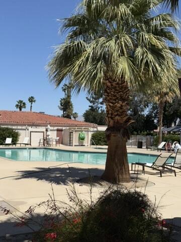 531 Paseo Perdido, Cathedral City CA: https://media.crmls.org/mediaz/971b5610-8098-46c4-b9d3-45a3d21a7717.jpg