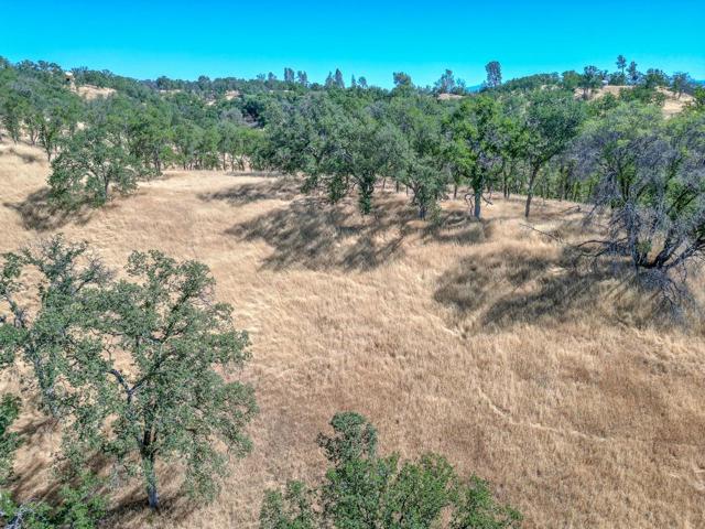 0 Wood Duck Pass Road, Red Bluff CA: https://media.crmls.org/mediaz/971ed651-2419-4100-ab02-48ff8f66f89a.jpg