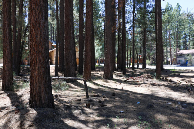 689 Summit Boulevard, Big Bear CA: https://media.crmls.org/mediaz/97323b44-983c-4a0b-94c0-9ad4bf68a2b1.jpg