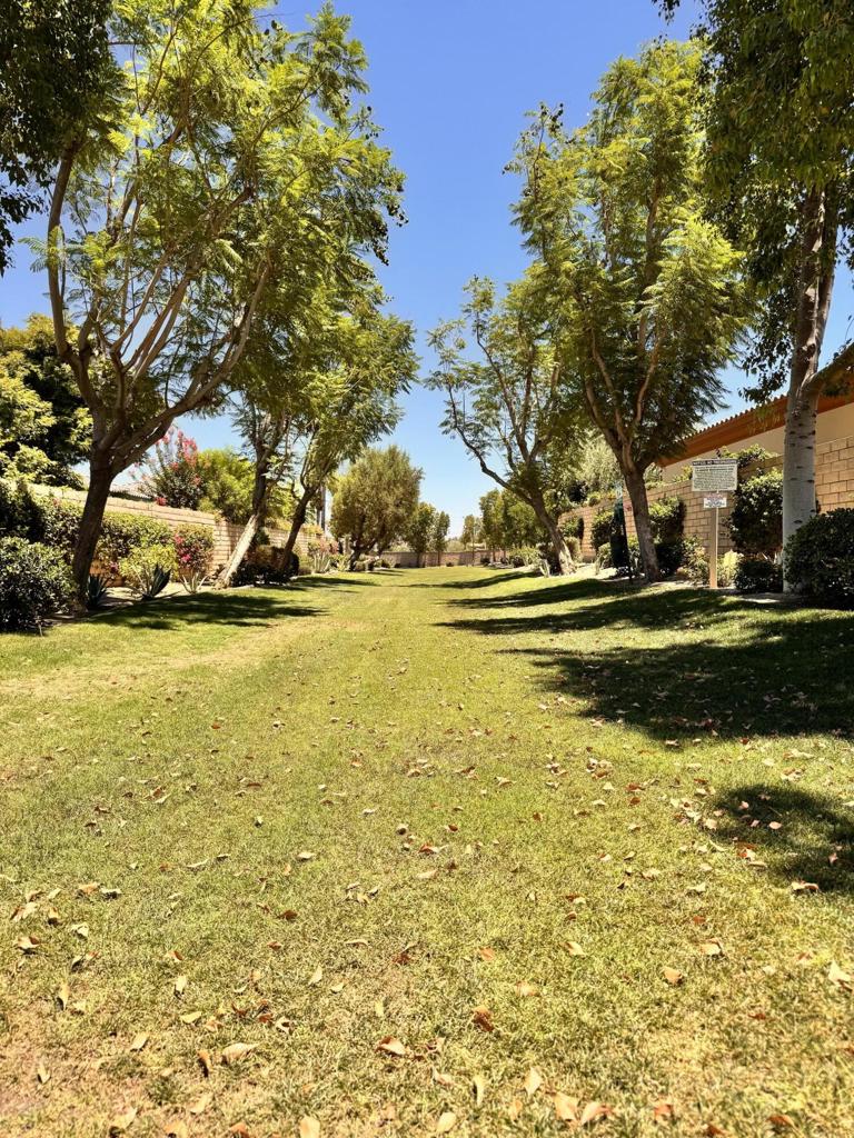 MLS #219149181DA image #52