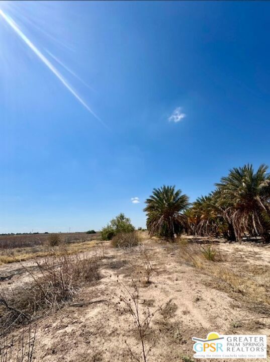 0 Noffsinger, Niland CA: https://media.crmls.org/mediaz/973b712b-e0e0-4e72-a98a-36bfa3fe6886.jpg