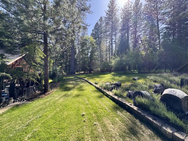 14543 Kathy Lane, Pioneer CA: https://media.crmls.org/mediaz/97451a4c-1b3e-4379-ad11-344178a76a18.jpg