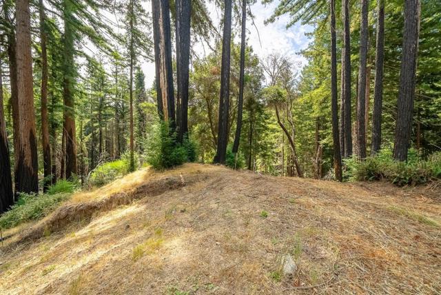 1035 Rambling Road, Boulder Creek CA: https://media.crmls.org/mediaz/97474707-f12c-4f02-9a38-e9eaa4d648b9.jpg