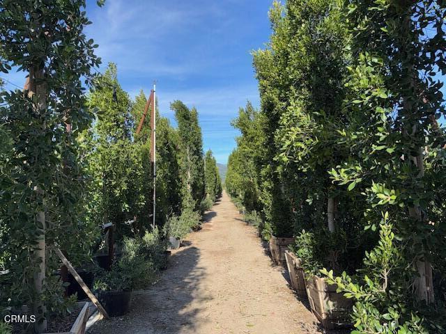 Detail Gallery Image 19 of 41 For 2245 California St, Fillmore,  CA 93015 - 2 Beds | 1 Baths