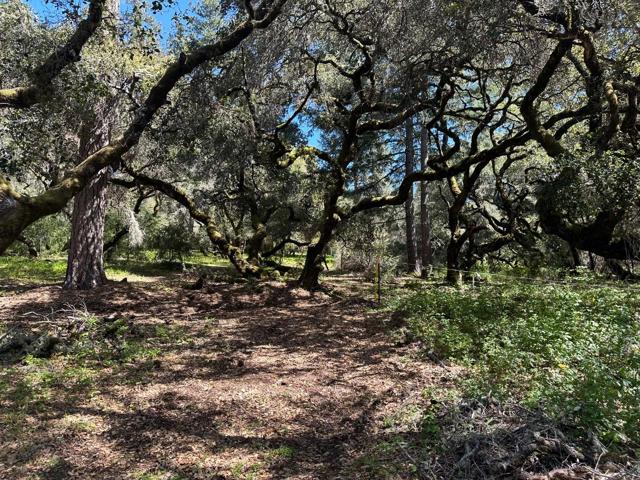 0 Hidden Glen Drive, Scotts Valley CA: https://media.crmls.org/mediaz/97651570-2144-4f7f-bc0e-d0fa7ca1be9f.jpg