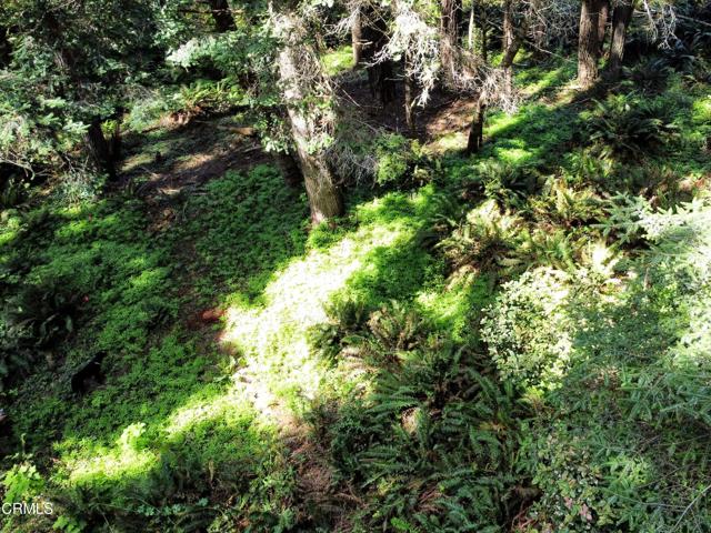 Detail Gallery Image 16 of 23 For 44551 Raven Ln, Mendocino,  CA 95460 - – Beds | – Baths