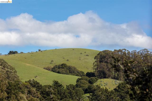 Image 14 of 60 For 6065 Dimm Way