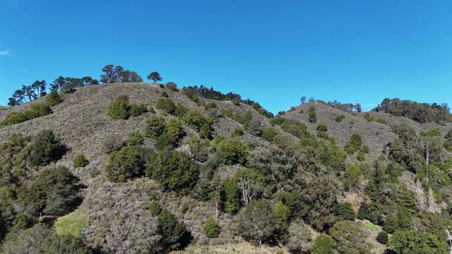 Image 4 of 8 For 1488 Alvarado Rd.