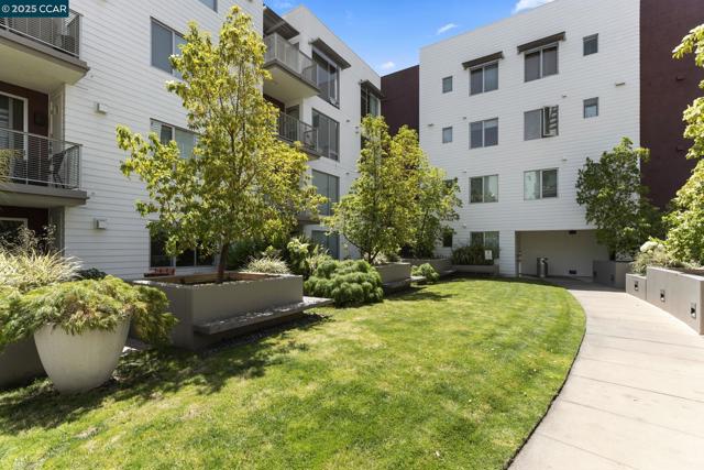 555 Ygnacio Valley Rd, Walnut Creek CA: https://media.crmls.org/mediaz/9777f5ef-dae1-457f-8dc6-920f9df3805d.jpg