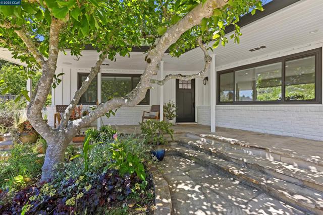 3363 Springhill Rd, Lafayette CA: https://media.crmls.org/mediaz/977b4e17-1705-45cf-89ba-98d16545cba0.jpg