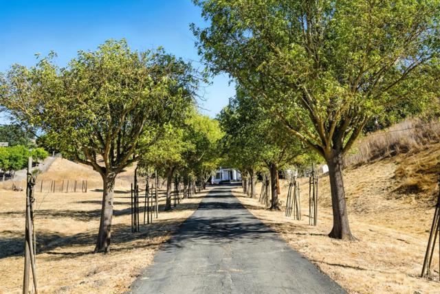 6650 Johnston Road, Pleasanton CA: https://media.crmls.org/mediaz/977e509c-70c9-47e0-9294-1e9fe6b512e9.jpg