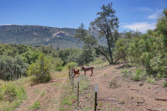 0 Camino Estribo, Temecula CA: https://media.crmls.org/mediaz/9785e770-e23e-4c4d-8218-a27c7305504c.jpg