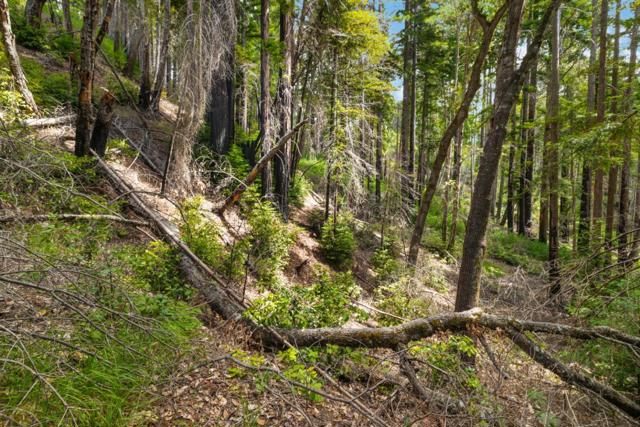 3 Bloom Grade, Boulder Creek CA: https://media.crmls.org/mediaz/97865dcb-880c-4d62-9901-941811f13497.jpg