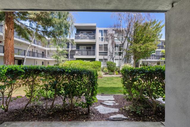 Drew Fenton | 183 Del Medio Avenue Mountain View CA | MLS: 7159607