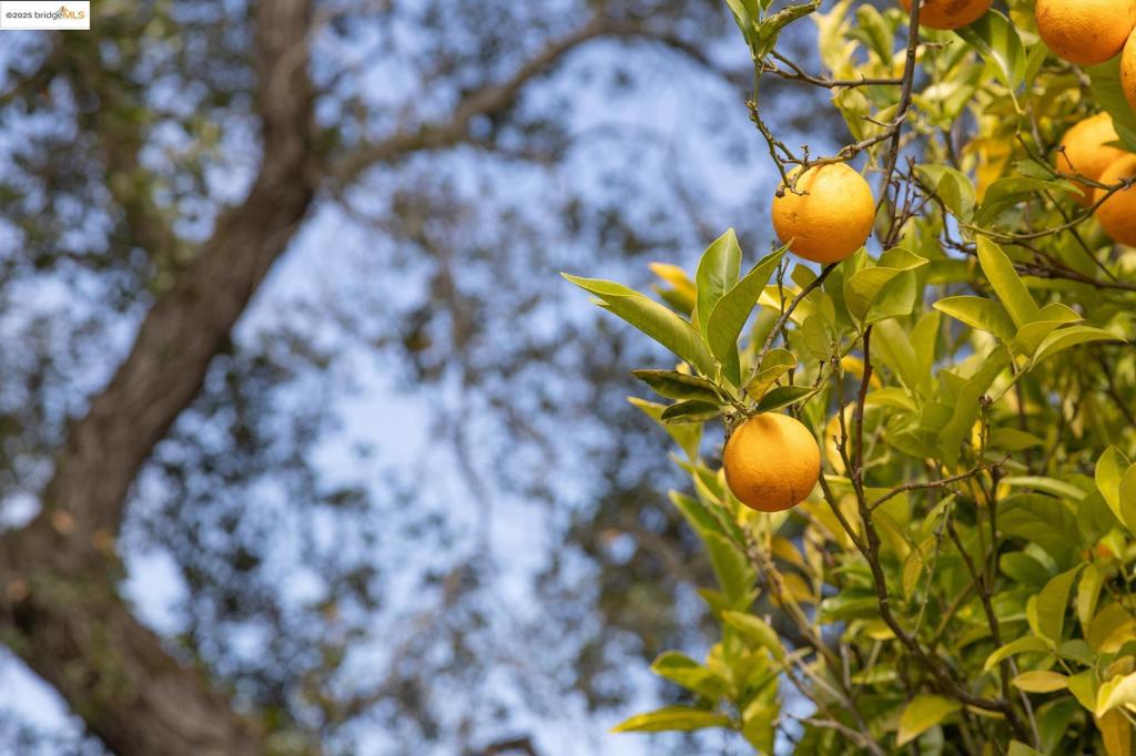 https://media.crmls.org/mediaz/97898f48-95bb-4242-92f2-b26f4b52396b.jpg?preset=X-Large