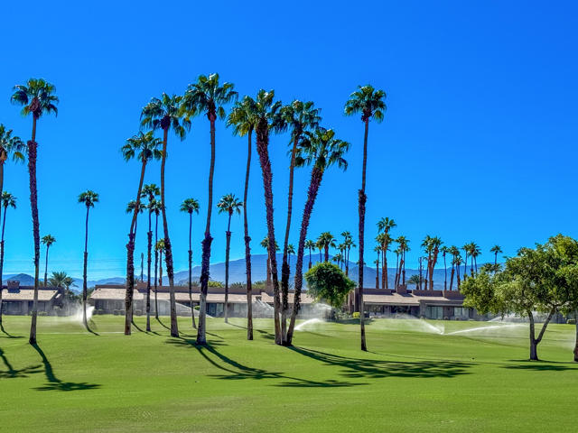 76745 Chrysanthemum Way, Palm Desert CA: https://media.crmls.org/mediaz/97a7ff82-0ca4-47d2-a466-984f7b846a32.jpg