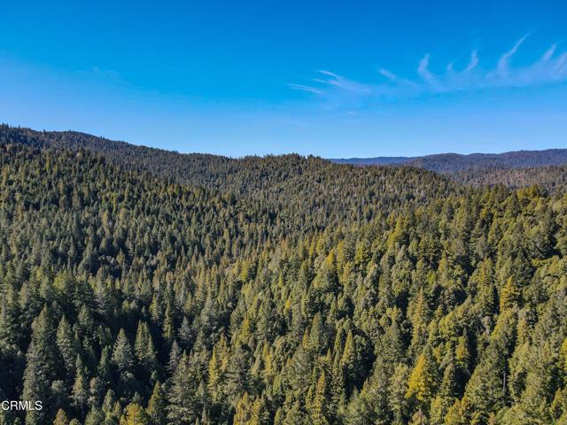 0 Irmulco Road, Willits CA: https://media.crmls.org/mediaz/97b03e03-87e2-4a48-bbcb-b2035a04a070.jpg