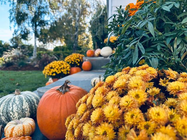 1183 Yosemite Avenue, San Jose CA: https://media.crmls.org/mediaz/97b40cdf-422b-4dc1-8e71-943282be9d80.jpg