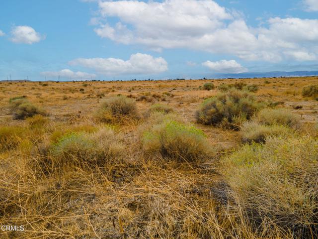 Detail Gallery Image 5 of 12 For 115 Stw Vac/Ave a/Vic, Antelope Acres,  CA 93536 - – Beds | – Baths