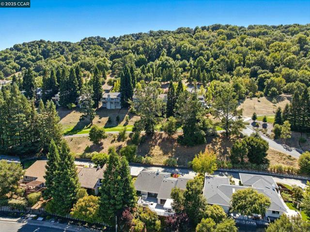 1725 Spyglass Ln, Moraga CA: https://media.crmls.org/mediaz/97bb1d1f-24da-4dce-9cd8-8b69143477e3.jpg