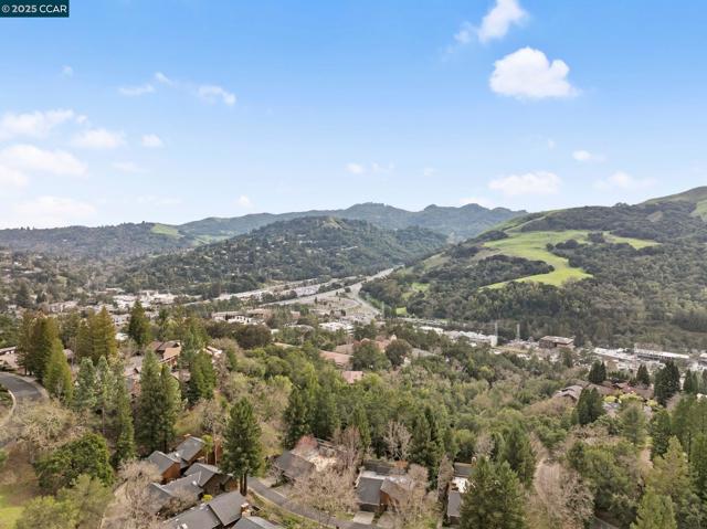 316 Village View Ct, Orinda CA: https://media.crmls.org/mediaz/97bebe9e-f532-41fc-8180-0baef0da4f14.jpg