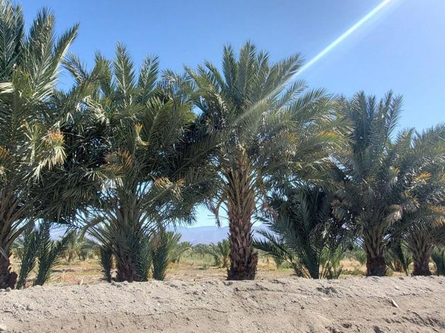 Image 1 of 8 For 0 Calhoun Street