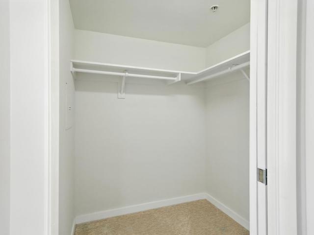 350 N 2nd Street, San Jose CA: https://media.crmls.org/mediaz/97cbe130-d8a0-49da-82d7-d7a3a8bc03d0.jpg