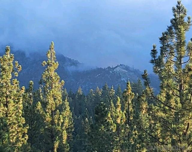 43734 Yosemite Drive, Big Bear CA: https://media.crmls.org/mediaz/97cf5210-ca3b-4021-8417-084994981aa5.jpg