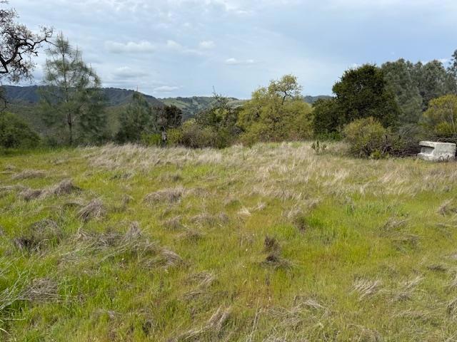 11 Little Uvas Road, Morgan Hill CA: https://media.crmls.org/mediaz/97d0ce5a-dd9d-434b-8555-134288b4ae18.jpg