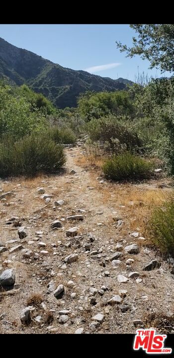 0 Stonyvale, Tujunga CA: https://media.crmls.org/mediaz/97e4837c-64a8-4077-8772-f03a792cb31a.jpg