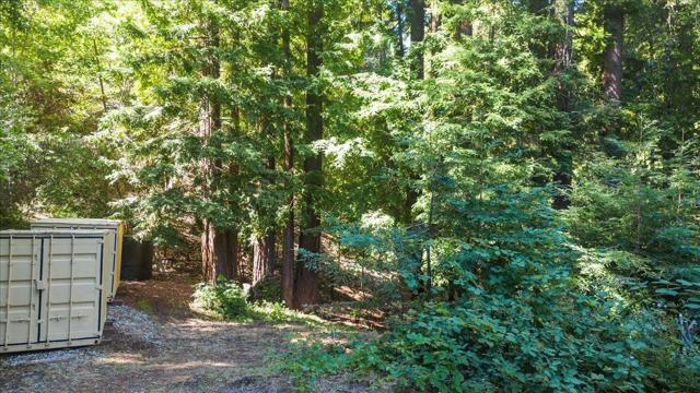 135 Sugar Valley Road, Scotts Valley CA: https://media.crmls.org/mediaz/97e48cc3-2b6c-482d-a29d-7dc66e058288.jpg