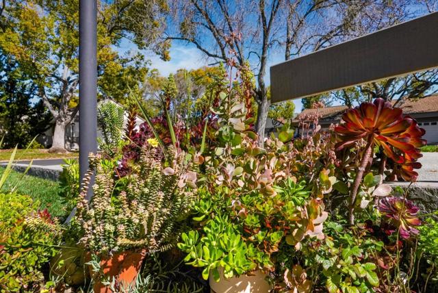 6142 Montgomery Place, San Jose CA: https://media.crmls.org/mediaz/97e5f432-43ee-45c3-8bf8-70a6a26f7720.jpg