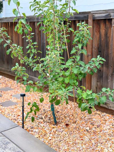 1611 Marina, Brentwood CA: https://media.crmls.org/mediaz/97eafe33-6252-45ea-abe8-cc4bfce9e1f2.jpg