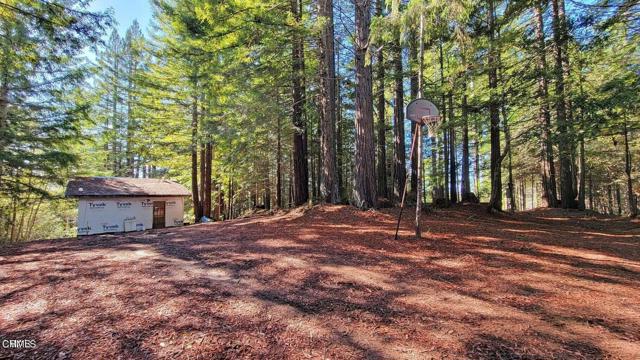 Detail Gallery Image 11 of 15 For 12301 Docker Hill Rd, Comptche,  CA 95427 - – Beds | – Baths