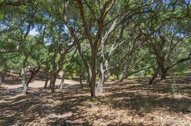 12167 Saddle Road, Carmel Valley CA: https://media.crmls.org/mediaz/9816c5e8-18ae-461f-b1fa-0442b403edf5.jpg