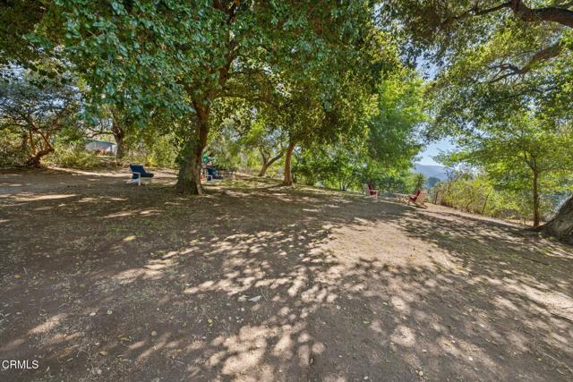 378 Grand Avenue, Monrovia CA: https://media.crmls.org/mediaz/98191ca9-60f9-49d3-a396-9fae29519c4f.jpg