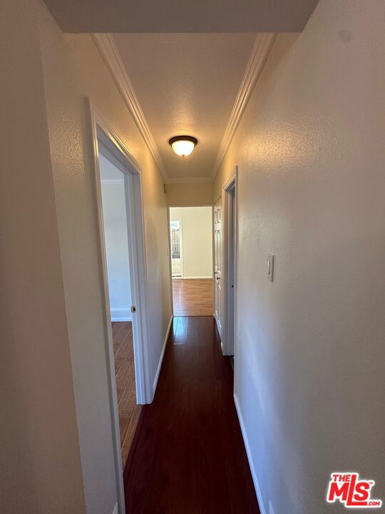 10429 Oro Vista Avenue, Sunland CA: https://media.crmls.org/mediaz/98208f3d-794f-4ed9-ac65-9c8b09c3d2fe.jpg